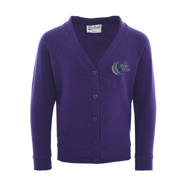 Ysgol Maes Hyfryd Cardigan