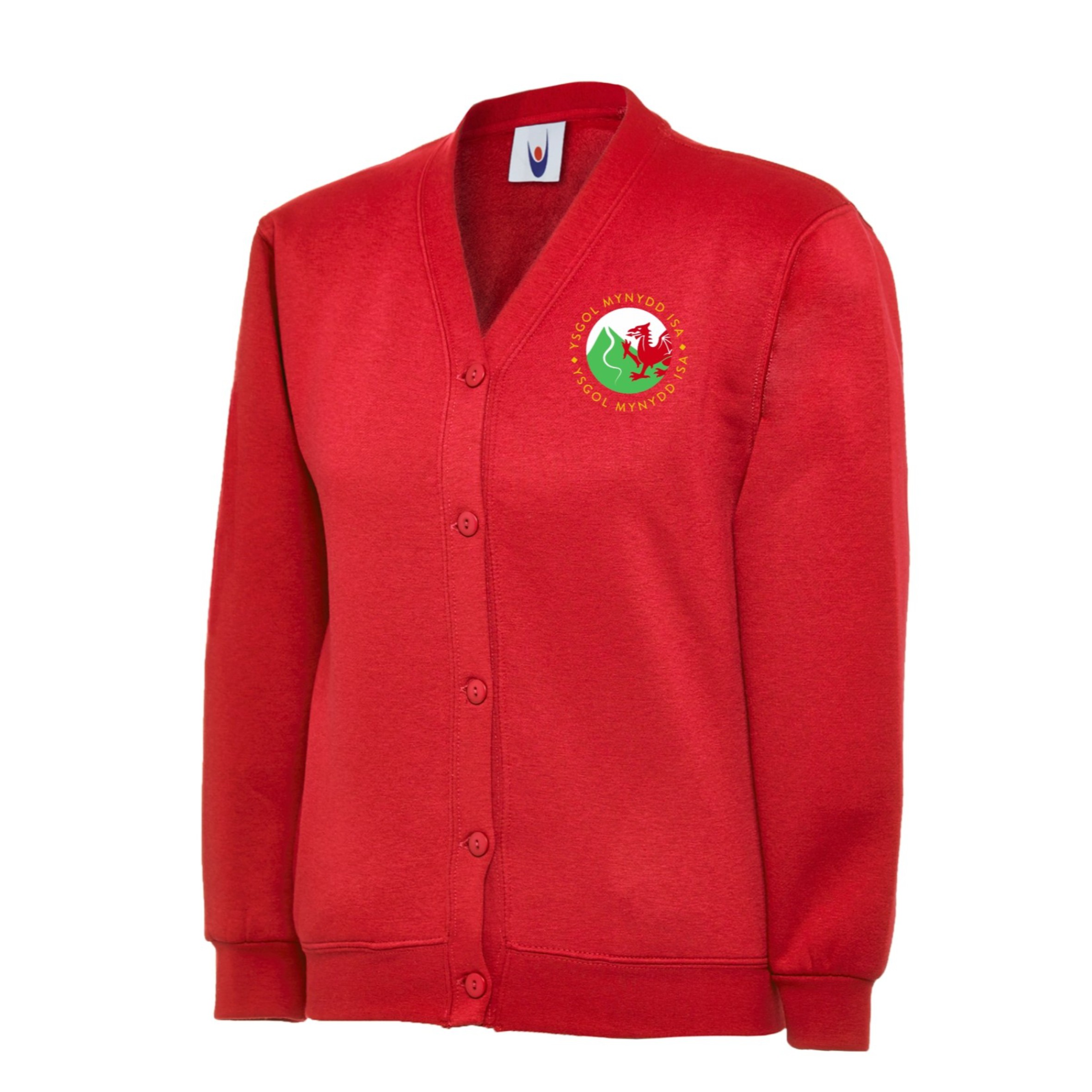 Ysgol Mynydd Isa Cardigan
