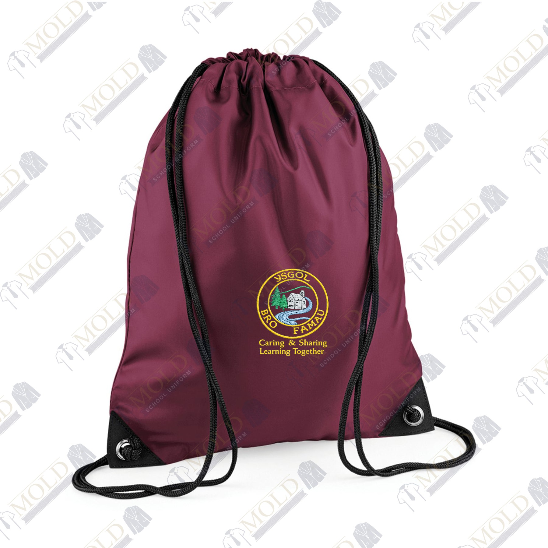 Ysgol Bro Famau PE Bag