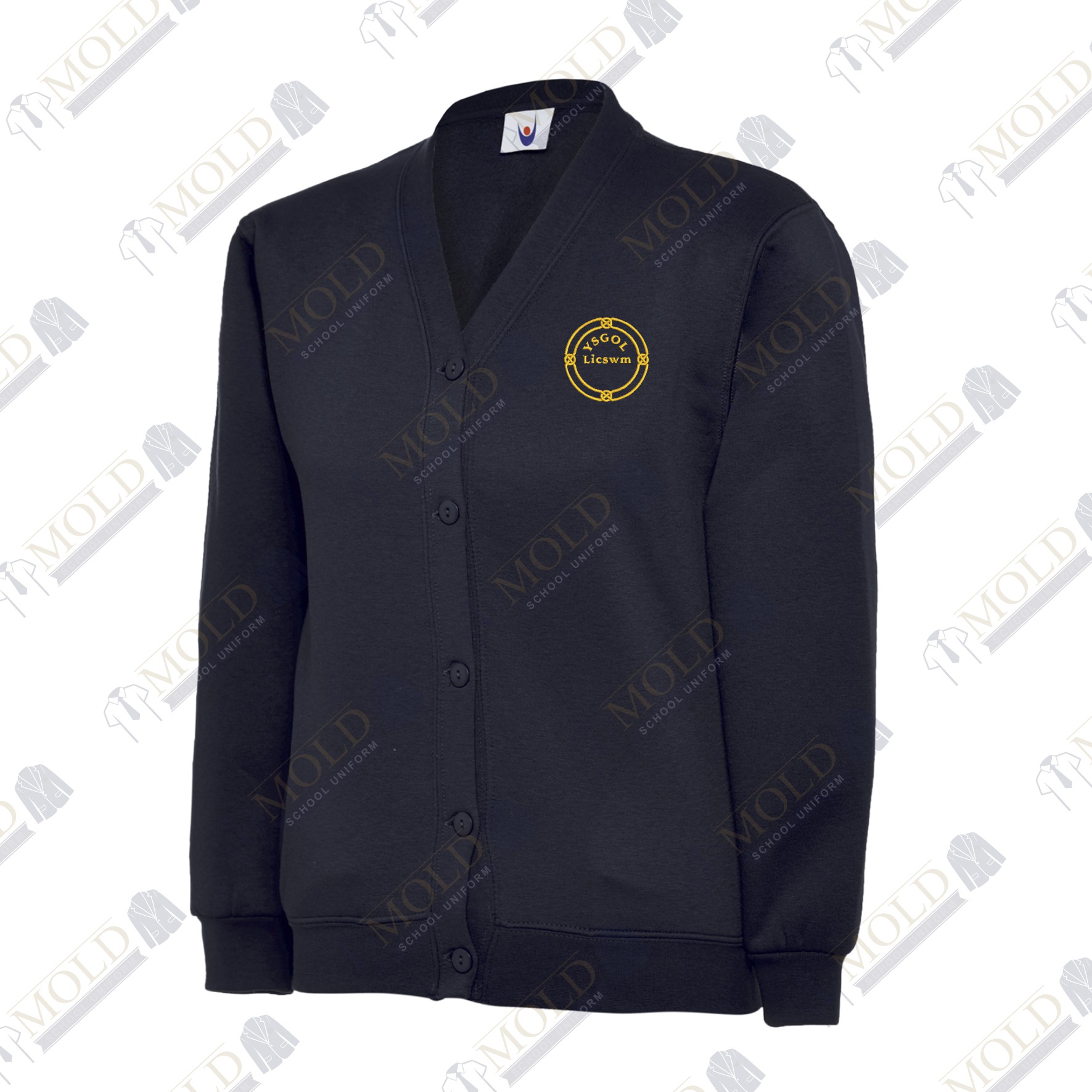 Ysgol Licswm Cardigan