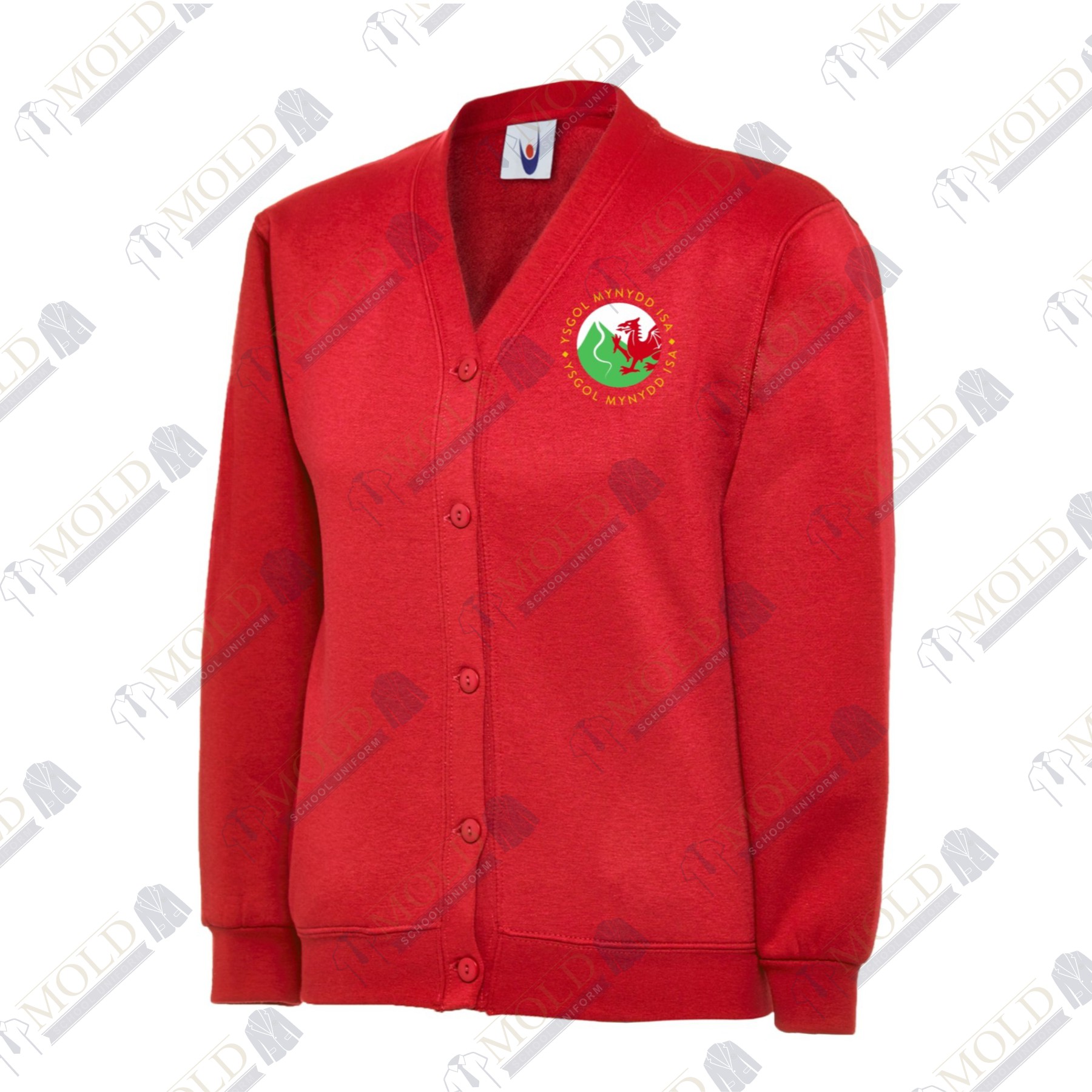 Ysgol Mynydd Isa Cardigan