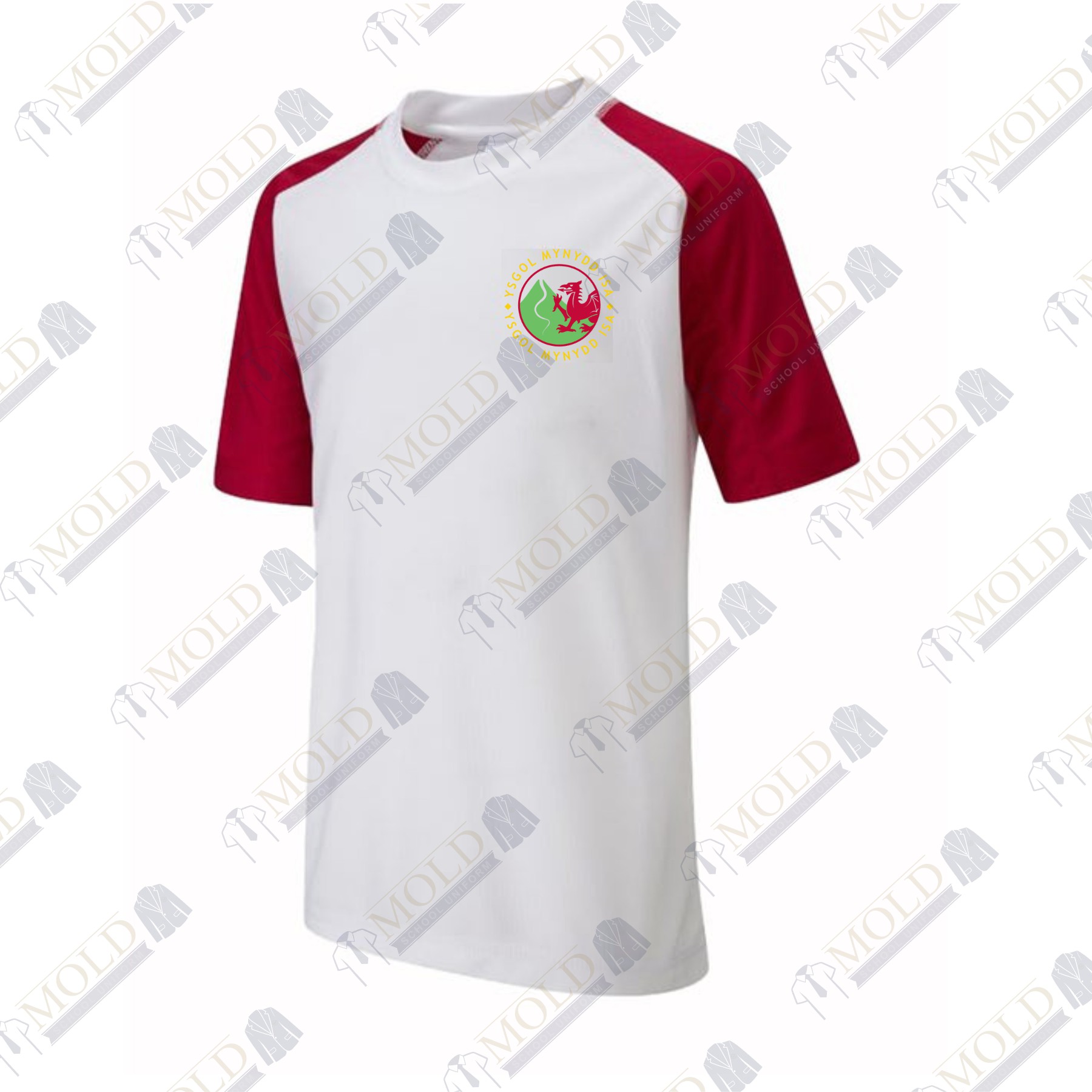 Ysgol Mynydd Isa PE T-Shirt