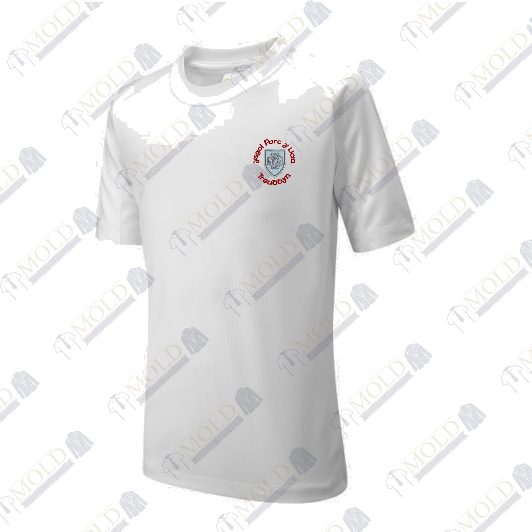 Ysgol Parc y Llan PE T-Shirt