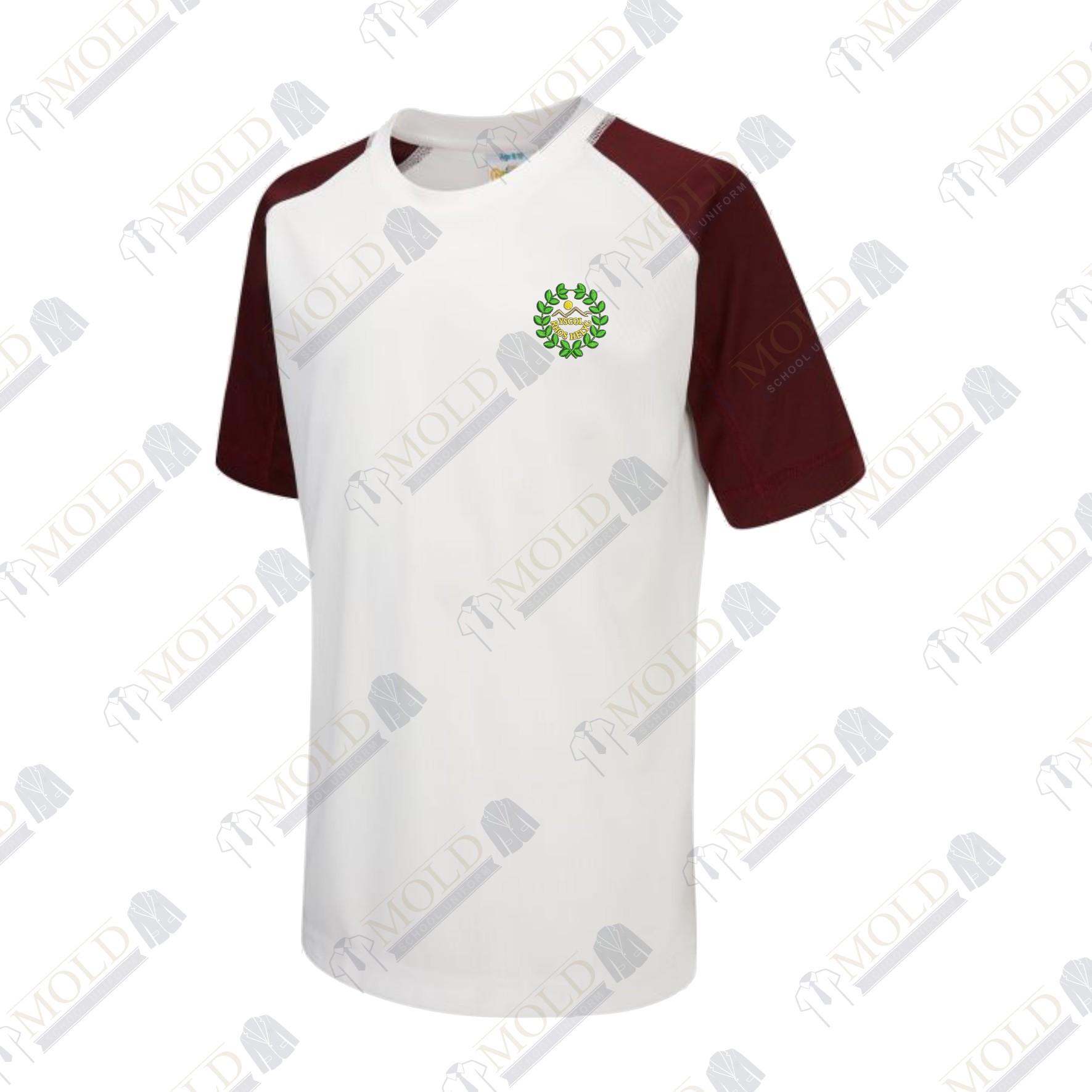 Ysgol Rhos Helyg PE T-Shirt
